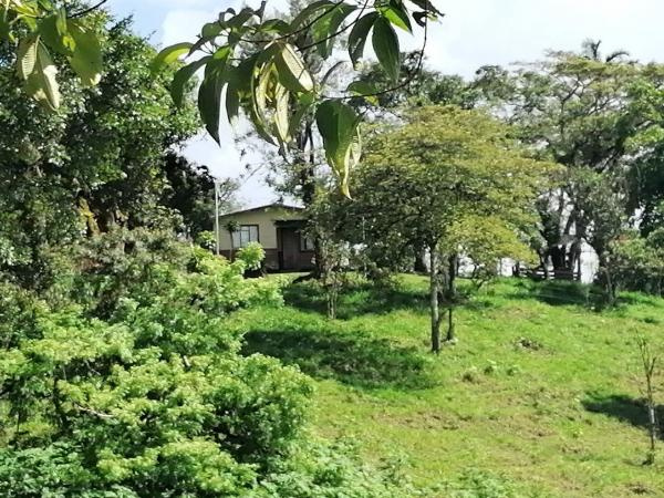 Cota Rica Real Estate - San Vito - Farm